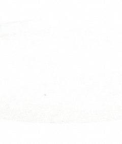 Stirring Bar: Oval, PTFE, 7 cm Overall Lg, 7.93 mm Dia, Autoclavable, White (MPN 30400149). Key specifications — Color: White; Brand: OHAUS; Product Type: Stirring Bar; Shape: Oval.