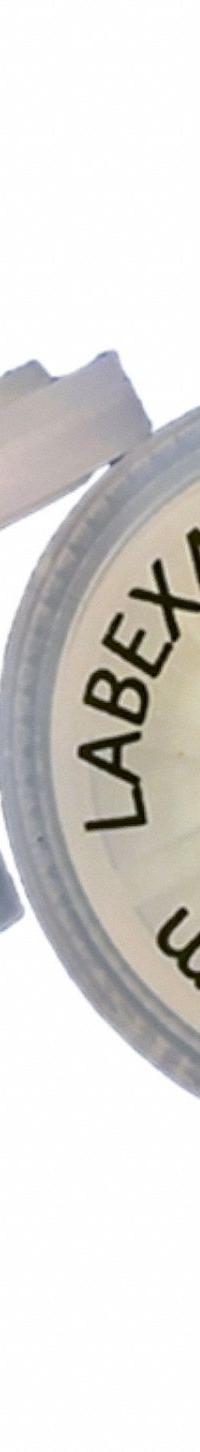 LABEXACT Syringe Filter: Non-Sterile, 0.22 um Pore Size, 100 mL Max Capacity - mL, 25 mm Housing Dia (MPN LE-IWT-ES20025). Key specifications — Housing Material: Polypropylene; Inlet Connection Gender: Female; Inlet Connection Type: Female Luer Lock; Outlet Connection Gender: Male; Brand: LABEXACT; Compatible Product Type: Leur Lock Syringe; Filter Material: Polyethersulfone; Outlet Connection Type: Luer-slip (no- barb).