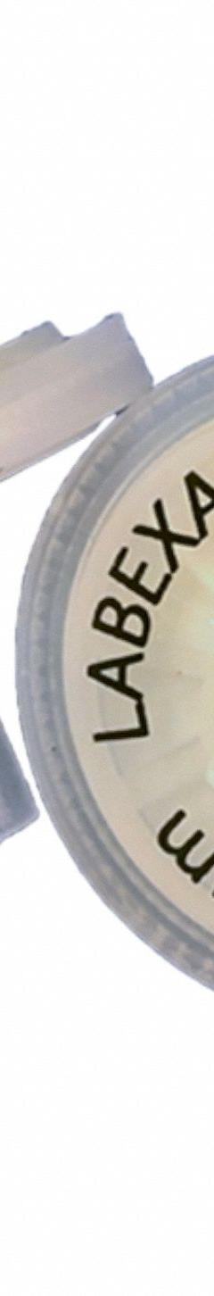 LABEXACT Syringe Filter: Non-Sterile, 0.22 um Pore Size, 100 mL Max Capacity - mL, 25 mm Housing Dia (MPN LE-IWT-ES20025). Key specifications — Housing Material: Polypropylene; Inlet Connection Gender: Female; Inlet Connection Type: Female Luer Lock; Outlet Connection Gender: Male; Brand: LABEXACT; Compatible Product Type: Leur Lock Syringe; Filter Material: Polyethersulfone; Outlet Connection Type: Luer-slip (no- barb).