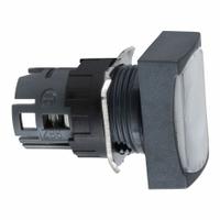 SCHNEIDER Flush Push Button: 16 mm Mounting Size, Non-Metallic, Maintained (MPN ZB6DF1). Key specifications — Brand: SCHNEIDER; Action: Maintained; Series: XB6; Push Button Material Type: Non-Metallic.