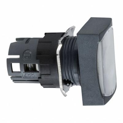 SCHNEIDER Flush Push Button: 16 mm Mounting Size, Non-Metallic - Illuminated Flush-Mount Push-Button Operators