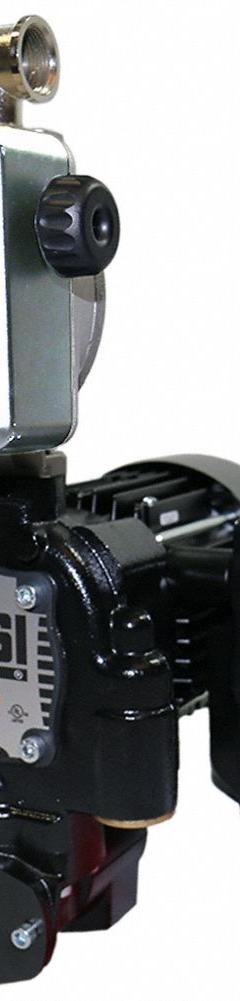 PIUSI Electric Drum Pump: 12 V DC, 13 gpm Max. Flow Rate, Bung, Manual, 13 ft (MPN F00250D50). Key specifications — Brand: PIUSI; Meter: Digital (Gal.).