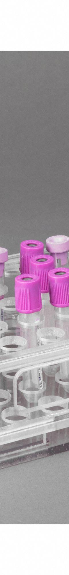 Tube Rack: 5 3/4 in Overall Wd, 2 1/2 in Overall Ht, 10 in Overall Lg, PETG, Clear, (50) Tubes (MPN BLDTUBE50). Key specifications — Material: PETG; Mounting Location: Benchtop; Color: Clear; Product Type: Test Tube Rack; Total Holding Capacity: (50) Tubes; Brand: POLTEX.