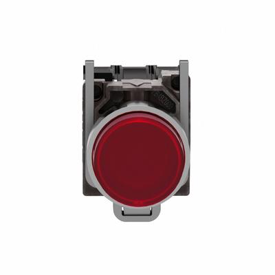 SCHNEIDER Illuminated Push Button: Illuminated, Flush Profile, Metallic, 22 mm - Illuminated Flush-Mount Push Buttons