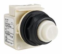 SCHNEIDER ELECTRIC Pilot Light: 30 mm Panel Mounting Size, White, Incandescent, 9001SK Series (MPN 9001SKP1W31). Key specifications — Series: 9001SK; Brand: SCHNEIDER; Includes Push-To-Test: No Push-To-Test Included.
