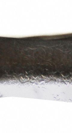 AMS Dutch Auger Head: Carbon Steel Bail/Carbon Steel Cylinder, 3 in Overall Dia, 11 in Overall Lg (MPN 300.59). Key specifications — Connection Type: Quick Connect; Brand: AMS; Product Type: Dutch; Material: Carbon Steel Cylinder.
