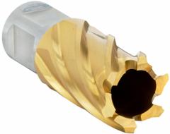SLUGGER BY FEIN Annular Cutter: 15/16 in Cutter Dia, 1 in Max Cutting Dp, TiN, High Speed Steel (MPN 63134238117). Key specifications — attr253884: No; attr253885: TiN; attr253886: High Speed Steel; attr253887: Weldon Flat; attr253888: Fractional Inch; attr277149: SLUGGER BY FEIN.