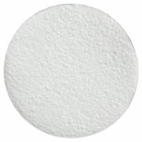 LABEXACT Glass Microfiber Filter: F, 4.7 cm Dia, 0.4 mm Thick, 0.7 um Pore Size (MPN 12K956). Key specifications — attr976405: Filter; attr976393: LABEXACT.