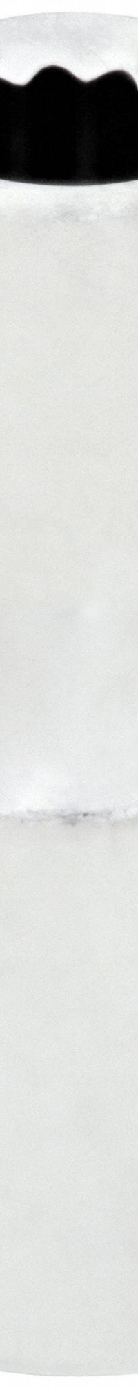 WESTWARD Socket: SAE, 1/4 in Drive Size, 13/16 in Socket Size, 12-Point, Std, Chrome, Socket (MPN 53YP96). Key specifications — attr1204417: WESTWARD; attr1204392: Chrome.