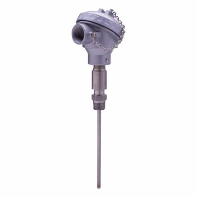 TEL-TRU RTD: -60°F to 500°F, +/- 0.06% Accuracy - Threaded RTDs with Conduit Connection