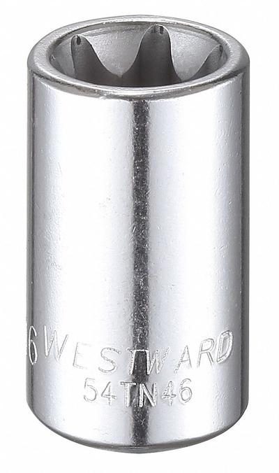 WESTWARD Socket: 3/8 in Drive Size, E16 Socket Size, External Torx, Std, Chrome - 1/4" Drive External Torx Hand Sockets