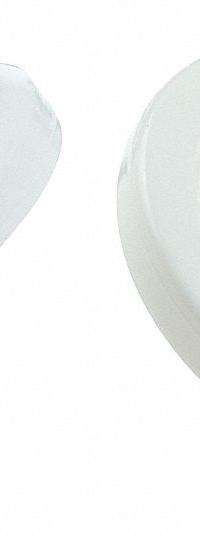 CELLTREAT Syringe Filter: Non-Sterile, 0.45 um Pore Size, 100 mL Max Capacity - mL, Male, Female (MPN 229780). Key specifications — Housing Material: Polypropylene; Inlet Connection Gender: Female; Inlet Connection Type: Female Luer Lock; Outlet Connection Gender: Male; Brand: CELLTREAT; Compatible Product Type: Male Luer Slip Outlet; Filter Material: PTFE; Outlet Connection Type: Male Luer Slip.