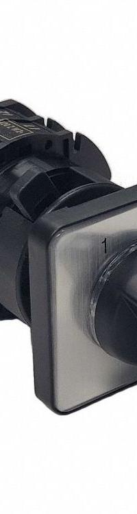 Cam Switch,600V,22 A (MPN M20 Z W2+G2). Key specifications — Action: Maintained; Voltage Rating: 600V; Brand: BENEDICT GMBH.