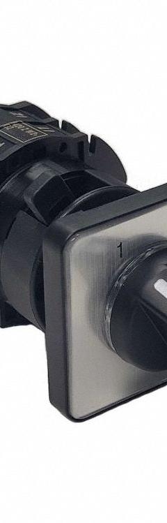 Cam Switch,600V,22 A (MPN M20 Z W2+G2). Key specifications — Action: Maintained; Voltage Rating: 600V; Brand: BENEDICT GMBH.