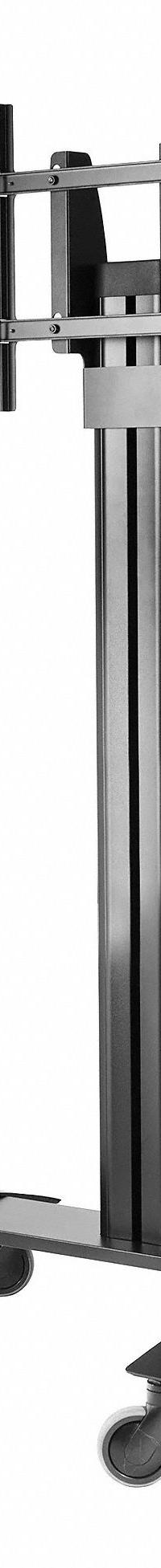 PEERLESS Flat Panel TV Stand: For 32 in to 75 in Screens, Max. 150 lb, Tilting, 5° Down, Black (MPN SR560M). Key specifications — Manufacturer Part Number: SR560M; Finish: Powder Coated; Includes: (4) Plastic Base Pads; Includes Mounting Hardware: Yes; Material: Steel; Brand: PEERLESS; Color: Black.