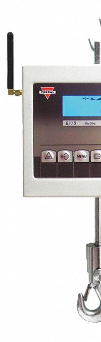 TORBAL Crane Scale: 30 lb Wt Capacity - Imperial, +/-1 Graduation, 0.01 lb/5 g, Wireless Remote (MPN BA15SR). Key specifications — Readability: 5 g; Indicator Attachment: Wireless Remote; Includes: Remote Control; Housing Material: Steel; Manufacturer Part Number: BA15SR; Brand: TORBAL; Weighing Units: ct.