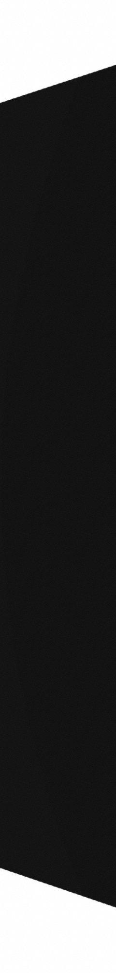 HADRIAN Partition Door: Solid Plastic HDPE, Plastic, Black, 55 in Ht, 34 in Wd, 1 in Thick (MPN X10034-211). Key specifications — Door Swing: Out Swing; Brand: HADRIAN; Color: Black; Finish/Texture: Plastic.