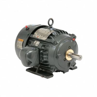 U.S. MOTORS General Purpose Motor: Rigid Base Mount, Totally Enclosed Fan Cooled, 300 hp - Rigid Base 3-Phase General Purpose AC Motors
