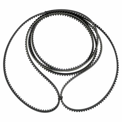 CONTINENTAL Timing Belt: One Side, Modified Curvilinear, Conti Falcon PD, 8 mm Pitch - GT Section Timing Belts