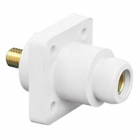 Single Pole Receptacle: White, Straight Ball Nose Mating, Threaded Stud Termination, 600V AC/600V DC (MPN 18R22-UW). Key specifications — Series: 18; Receptacle Gender: Female; Brand: LEVITON.