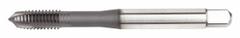 WIDIA GTD Spiral Point Tap: M2.5x0.45 Metric, 6G, 2 Flute, Plug Chamfer, Black Oxide Cobalt (MPN VTSPO6509). Key specifications — attr1299616: 6G.