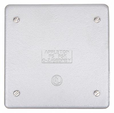 APPLETON ELECTRIC Weatherproof Cover: Steel, FD/FS, Boxes, 2 Gangs, 4 5/8 in Overall Ht - Iron Weatherproof Electrical Box Covers