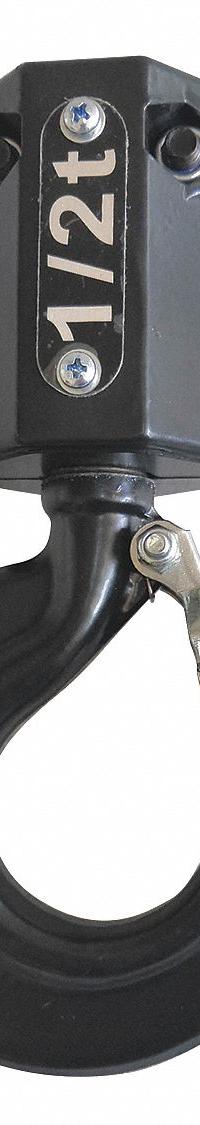 DAYTON Lower Hook Assembly: Electric Chain Hoists, 1,000 lb Compatible Load Capacity, 493W02. Key specifications — Compatible Hoist Type: Electric Chain Hoists; Product Type: Lower Hook Assembly; Manufacturer Part Number: 493W02.