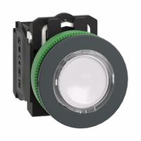 SCHNEIDER Illuminated Push Button: Illuminated, Flush Profile, Non-Metallic, 30 mm, 1NO/1NC (MPN XB5FW31B5). Key specifications — Brand: SCHNEIDER; Action: Momentary; Series: XB5; Push Button Material Type: Non-Metallic.