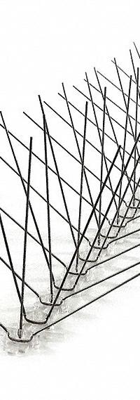 BIRD-X Bird Repellent Spikes: Wide, Plastic Base, 24 ft Overall Lg, Stainless Steel Spikes (MPN EWS-24). Key specifications — Brand: BIRD-X; Spike Material: Stainless Steel; Targeted Birds: Starlings; Base Material: Plastic; Ledge Width: Wide.