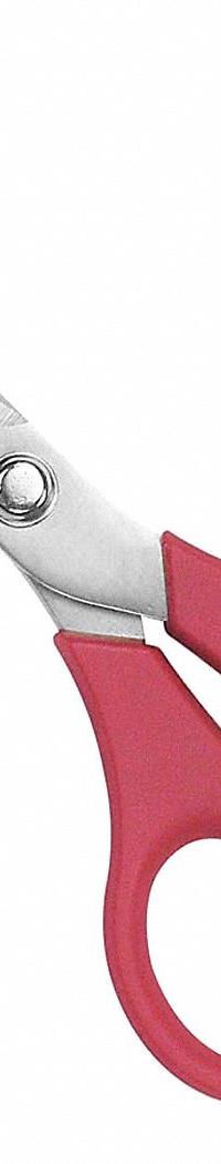 CLAUSS Scissors: Ambidextrous, 5 in Overall Lg, Straight, Stainless Steel, Pointed, Red (MPN 15453). Key specifications — attr308500: Stainless Steel; attr308502: Red; attr308505: Ambidextrous; attr308522: Multipurpose; attr324896: CLAUSS.