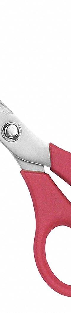 CLAUSS Scissors: Ambidextrous, 5 in Overall Lg, Straight, Stainless Steel, Pointed, Red (MPN 15453). Key specifications — attr308500: Stainless Steel; attr308502: Red; attr308505: Ambidextrous; attr308522: Multipurpose; attr324896: CLAUSS.