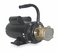 DAYTON Utility Pump: 115/230V AC, 80 ft Max head, 1 in FNPT, 1 in FNPT, 5,000 SUS Max. Viscosity (MPN 3ABZ6). Key specifications — Nameplate Voltage: 115/230V AC; Impeller Material: Buna-N; Brand: DAYTON.