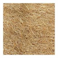 CHAMPION Evaporative Cooler Media: Wood Fiber, Ducted Evaporative Cooler/Window Evaporative Cooler (MPN 110098). Key specifications — Brand: CHAMPION.