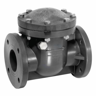 IPEX USA LLC Swing Check Valve: Swing, Inline Valve Body, 6 in Pipe Size, Flange x Flange - PVC Inline Swing Check Valves