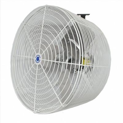SCHAEFER Mounted Fan: 20 in Blade Dia, 115/230V AC, 1/3 hp Motor HP, Wall Mount - Standard Industrial Wall-Mount Fans