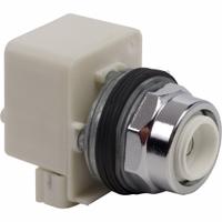 SCHNEIDER Extended Push Button: 30 mm Mounting Size, Metallic, Momentary (MPN 9001K2L38). Key specifications — Brand: SCHNEIDER; Action: Momentary; Series: 9001K; Push Button Material Type: Metallic.