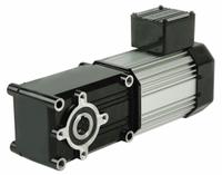 BISON AC Gearmotor: Right Angle, Hollow, 3-Phase, TEFC, 42.2 RPM, 240 in-lb Max Torque, 0.2 hp Input (MPN 027-725G0040). Key specifications — attr798124: Yes; attr85339: BISON; attr874657: 1.1 A.