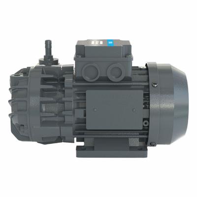 DEKKER VACUUM TECHNOLOGIES, INC. Vacuum Pump: 0.15 kW, 1 Phase, 230V AC - Oilless Rotary Vane Vacuum Pumps