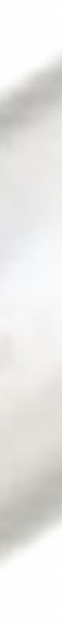 CELLTREAT Replacement Filter: Plastic, 24 mm Overall Ht, 30 mm Overall Dia, (5) Filters (MPN 9020-4005). Key specifications — attr1080715: Pipette Controller; attr1080719: 0.45 um Non-Sterile; attr1080720: (5) Filters; attr1080726: Replacement Filter; attr1073896: CELLTREAT; attr1080722: Plastic.