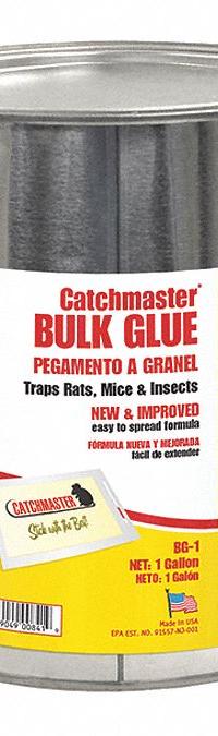 CATCHMASTER Rodent Glue Trap: Glue Trap, Pail, 1 gal Container Size, Glue, 7 1/2 in Overall Ht (MPN BG-1). Key specifications — Color: Clear/Yellow; Brand: CATCHMASTER; Container Type: Pail; Form: Glue.