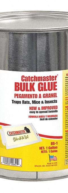 CATCHMASTER Rodent Glue Trap: Glue Trap, Pail, 1 gal Container Size, Glue, 7 1/2 in Overall Ht (MPN BG-1). Key specifications — Color: Clear/Yellow; Brand: CATCHMASTER; Container Type: Pail; Form: Glue.