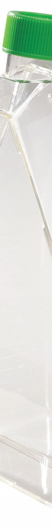 APPROVED VENDOR Cell Culture Flask: Cell Culture, Polystyrene, 600 mL, 20.28 fl oz, Sterile (MPN 11L814). Key specifications — Tolerance: +/-2.00%; Brand: APPROVED VENDOR; Graduated: Yes; Includes Closure: Yes.