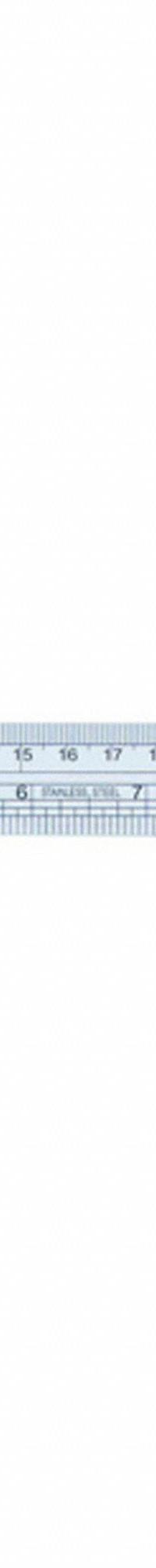 INSIZE Steel Rule: 7110-3001, 12 in / 300 mm, 0.04 in Thick, Clear, Black, Rigid, Square Edge, Pouch. Key specifications — attr939978: 1 mm; attr944136: Pouch; attr934745: INSIZE; attr944504: Outside Read; attr944508: Horizontal; attr944509: Clear; attr939993: Decimal; attr986193: Etched.
