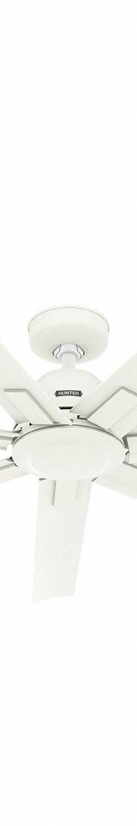 HUNTER Ceiling Fan: 60 in Blade Dia, Fresh White, 6 Speeds (MPN 53436). Key specifications — Finish: Fresh White; Material: Galvanized; Number of Speeds: 6; Brand: HUNTER.