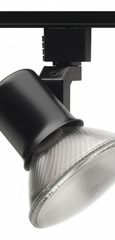 JUNO LIGHTING Track Lighting Head: Incandescent - Flared Track Heads