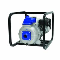 IPT PUMPS Engine Driven Pump: 5 hp, 2 in MNPT, 2 in MNPT, 1/16 in Max. Dia. Solids, 215 ft Max. Head (MPN 2P5XHR). Key specifications — Volute Material: Cast Iron; Ignition Type: Recoil-Start; Brand: IPT PUMPS.