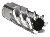 SLUGGER BY FEIN Annular Cutter: 2 3/16 in Cutter Dia, 1 in Max Cutting Dp, Bright, High Speed Steel (MPN 63134555001). Key specifications — attr253884: No; attr253885: Bright; attr253886: High Speed Steel; attr253887: Weldon Flat; attr253888: Fractional Inch; attr277149: SLUGGER BY FEIN.