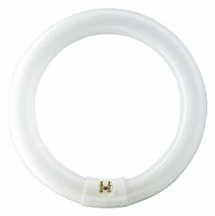 PHILIPS Circular Fluorescent Bulb: Fluorescent, T9, 4-Pin (G10q), 12 in Circle Dia, 31 W Watt, 4100K (MPN FC12T9/COOL WHITE PLUS). Key specifications — Bulb Shape: T9; Voltage: 84V AC; Brand: PHILIPS; Color Temperature: 4100K; Bulb Designation: FC12T9.