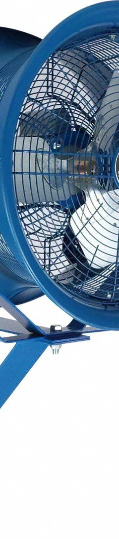 PATTERSON Mounted Fan: 22 in Blade Dia, 277V AC, 1/2 hp Motor HP, Post/Wall Mount, Non-Oscillating (MPN H22C-CW). Key specifications — Brand: PATTERSON; Voltage: 277V AC; Number of Speeds: 1; Fan Mounting Location: Wall; Oscillation: Non-Oscillating.