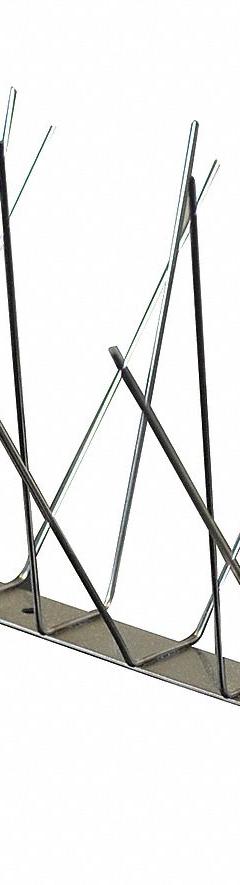 BIRD BARRIER Bird Repellent Spikes: Std, Stainless Steel Base, Silver, 51 ft Overall Lg (MPN BP-S4250). Key specifications — Brand: BIRD BARRIER; Spike Material: Stainless Steel; Targeted Birds: Pigeons; Base Material: Stainless Steel; Ledge Width: Standard.